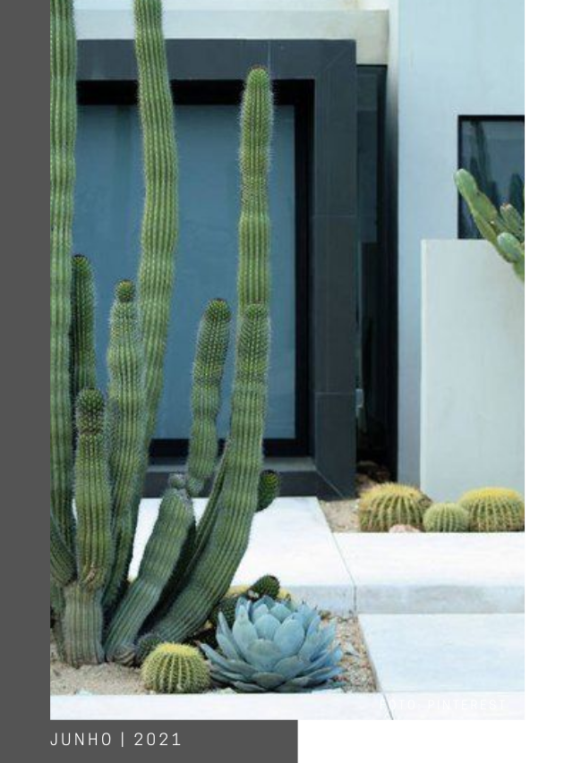 Cactos na décor