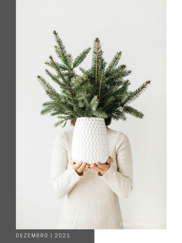 Especial Decoração de Natal: Decorando com Ramos e Galhos